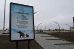 DSC08363.JPG