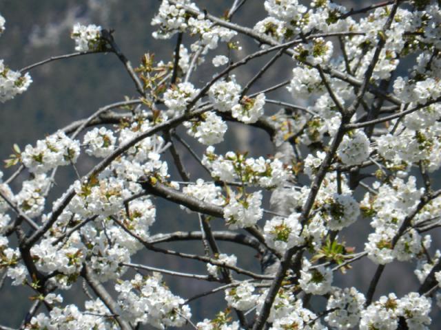 DSCN0426.JPG